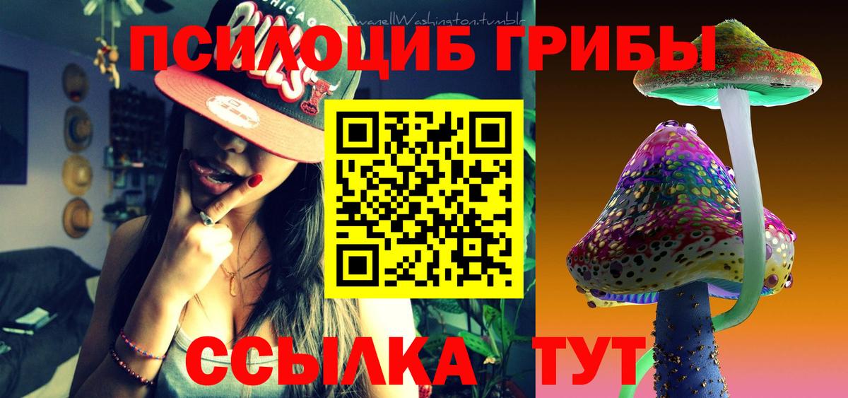 Галлюциногенные грибы Magic Shrooms  купить   Псилоцибиновые грибы ЛСД  Новошахтинск  Вход с VPN 
